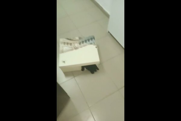 Наркосайт кракен