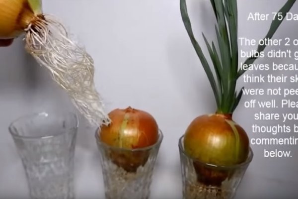 Кракен маркетплейс как зайти