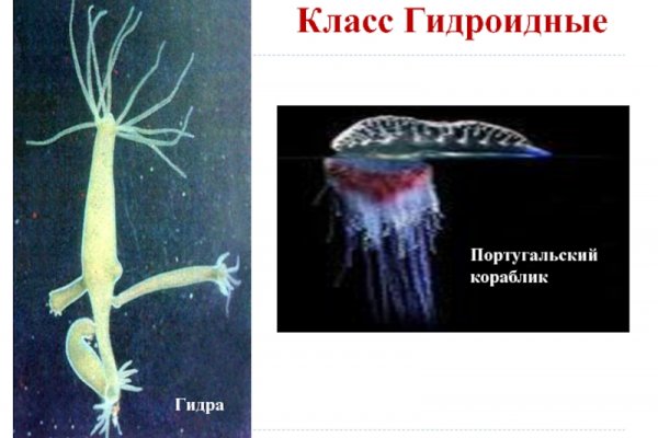 Кракен ссылка официальная на тор