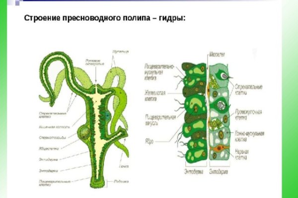 Даркнет вход