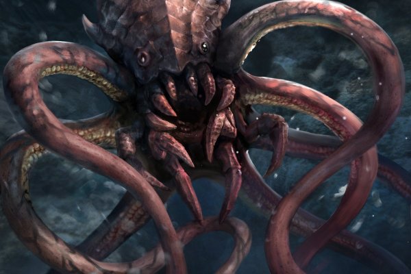 Kraken рабочий
