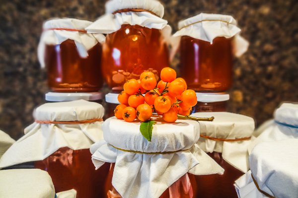 Правильная ссылка на кракен