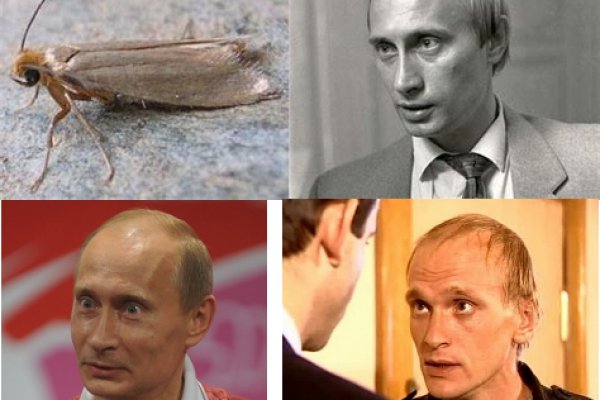 Clear ссылка на кракен