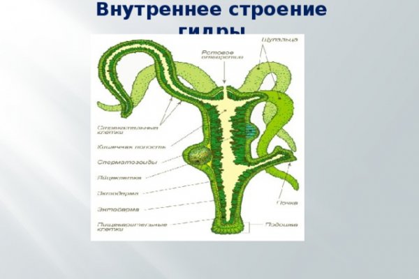 Кракен маркетплейс работает