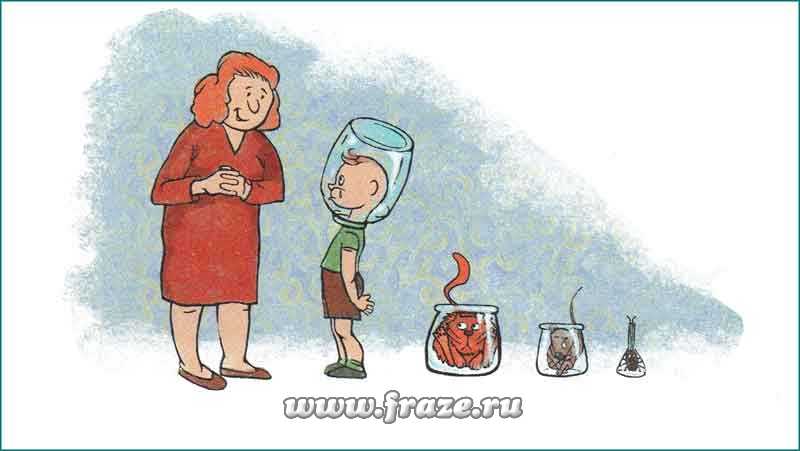 Почему не заходит на кракен
