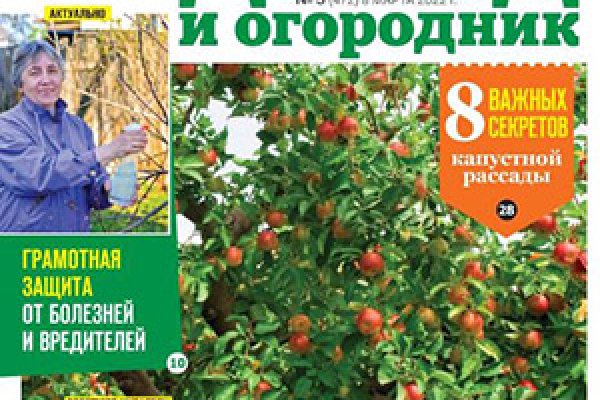 Что за площадка кракен